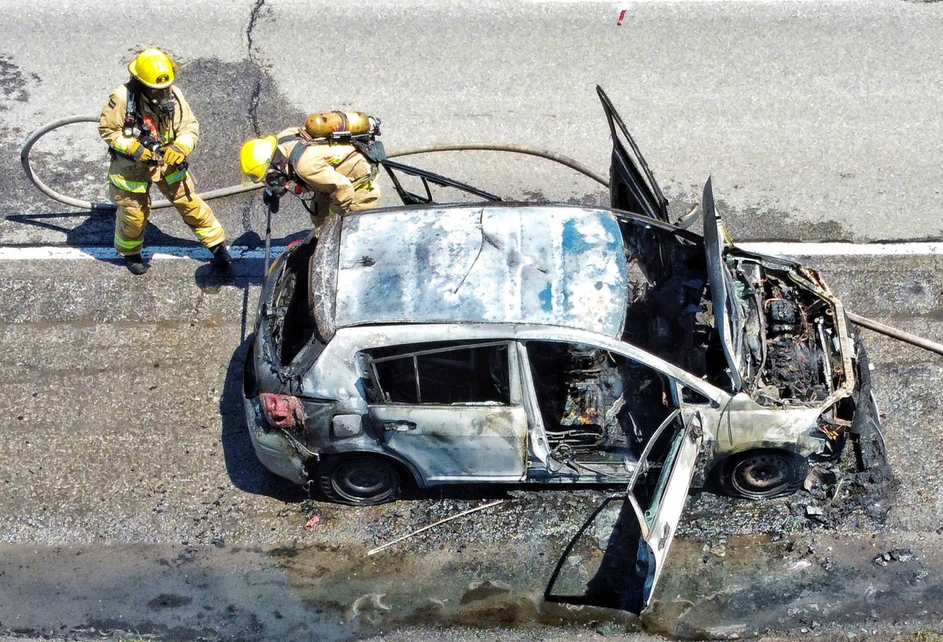Les Yorkies ne savent pas quoi penser du nouveau chien