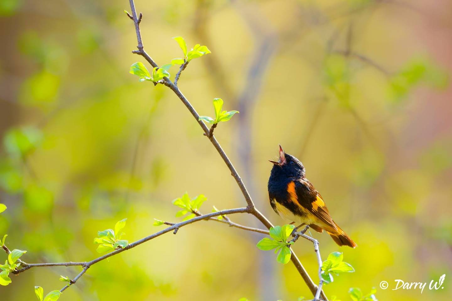 Être régisseur pour l&rsquo;émission En direct de l&rsquo;univers