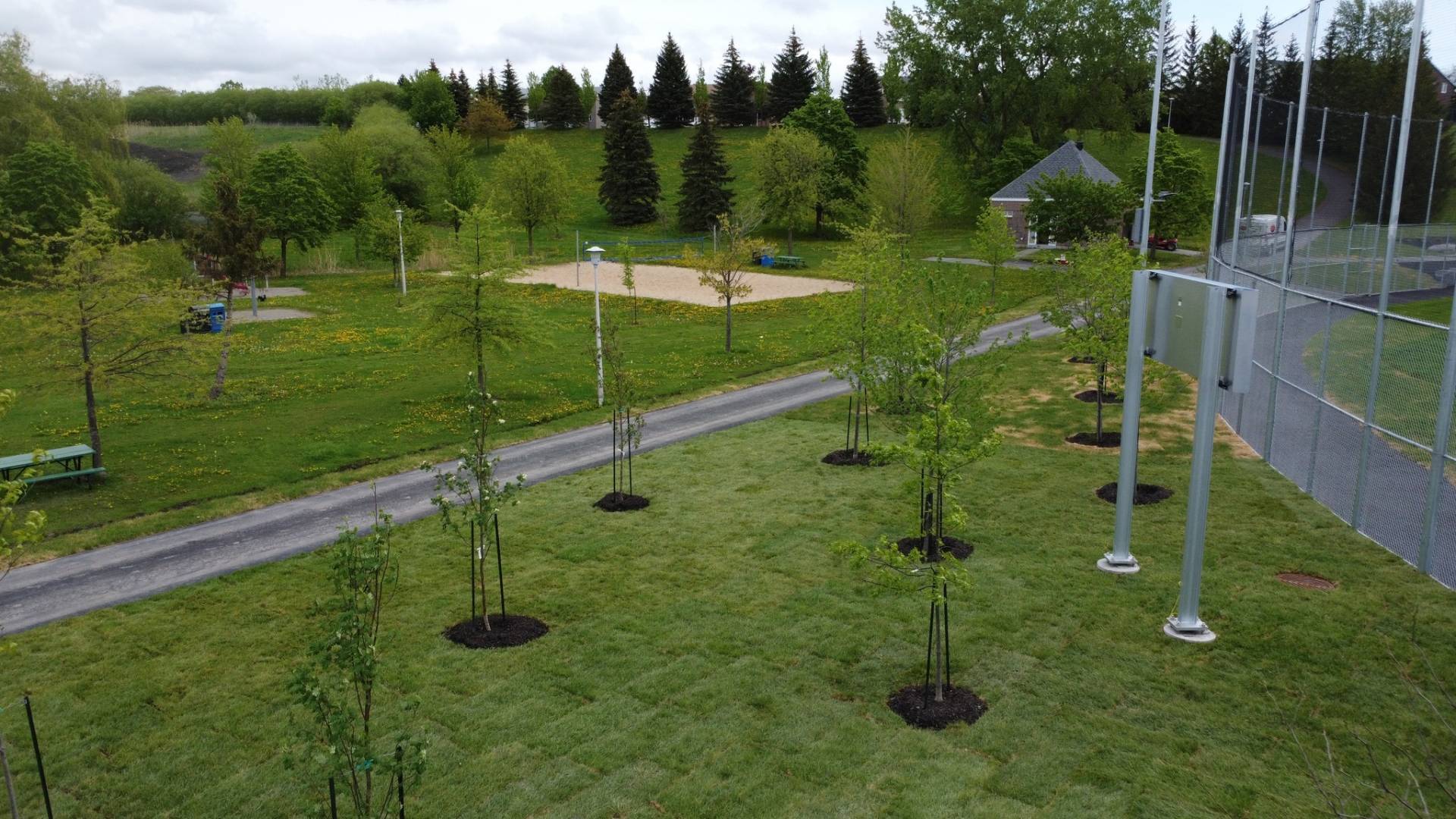 Image illustrant l'article