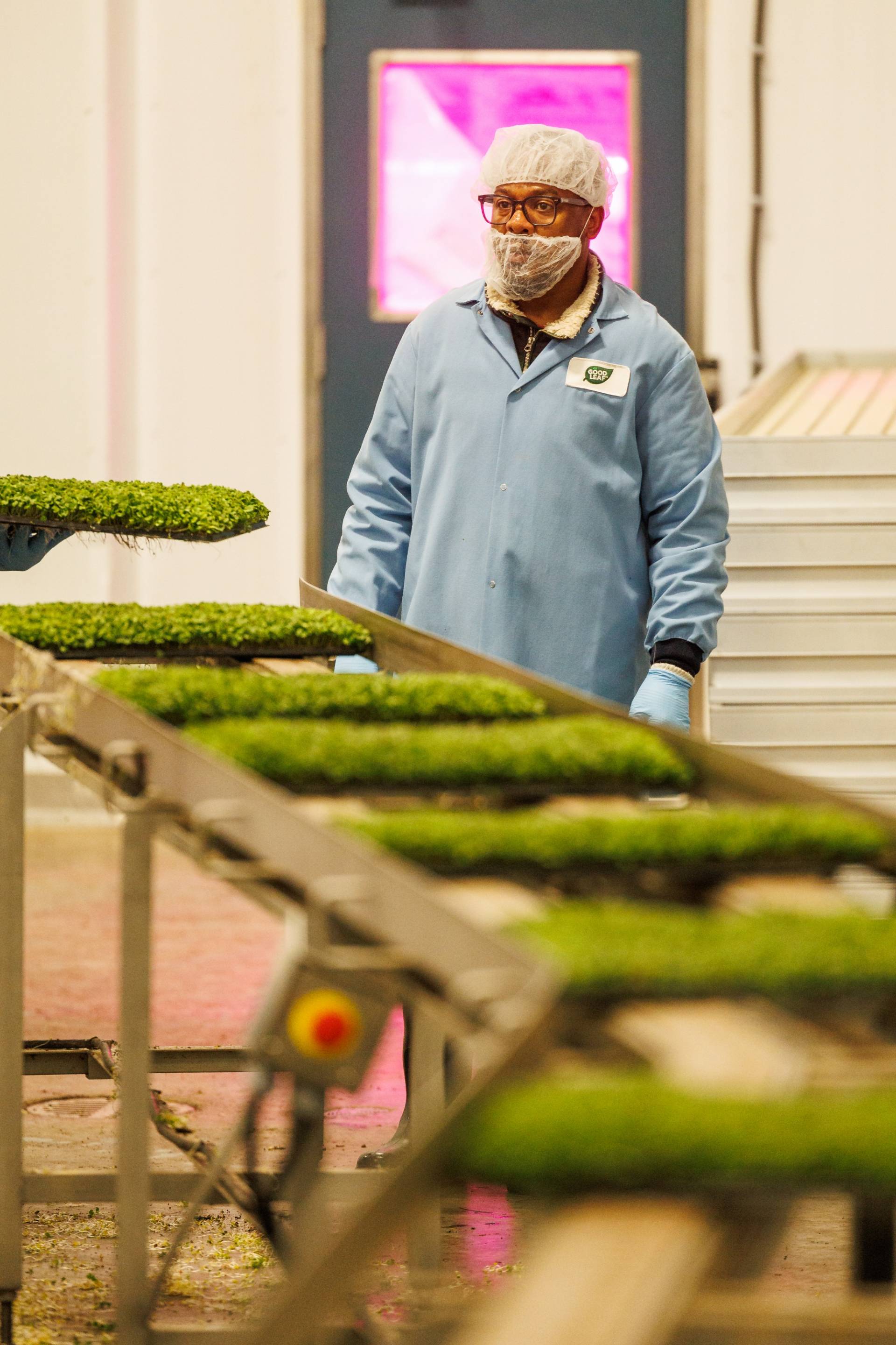 La vérité sur l’intelligence artificielle