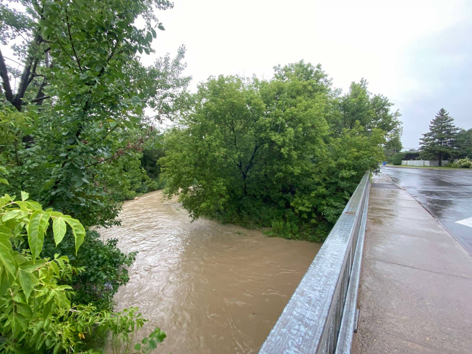 Un chat facilement effrayé saute lorsqu&rsquo;on tire sur le tapis