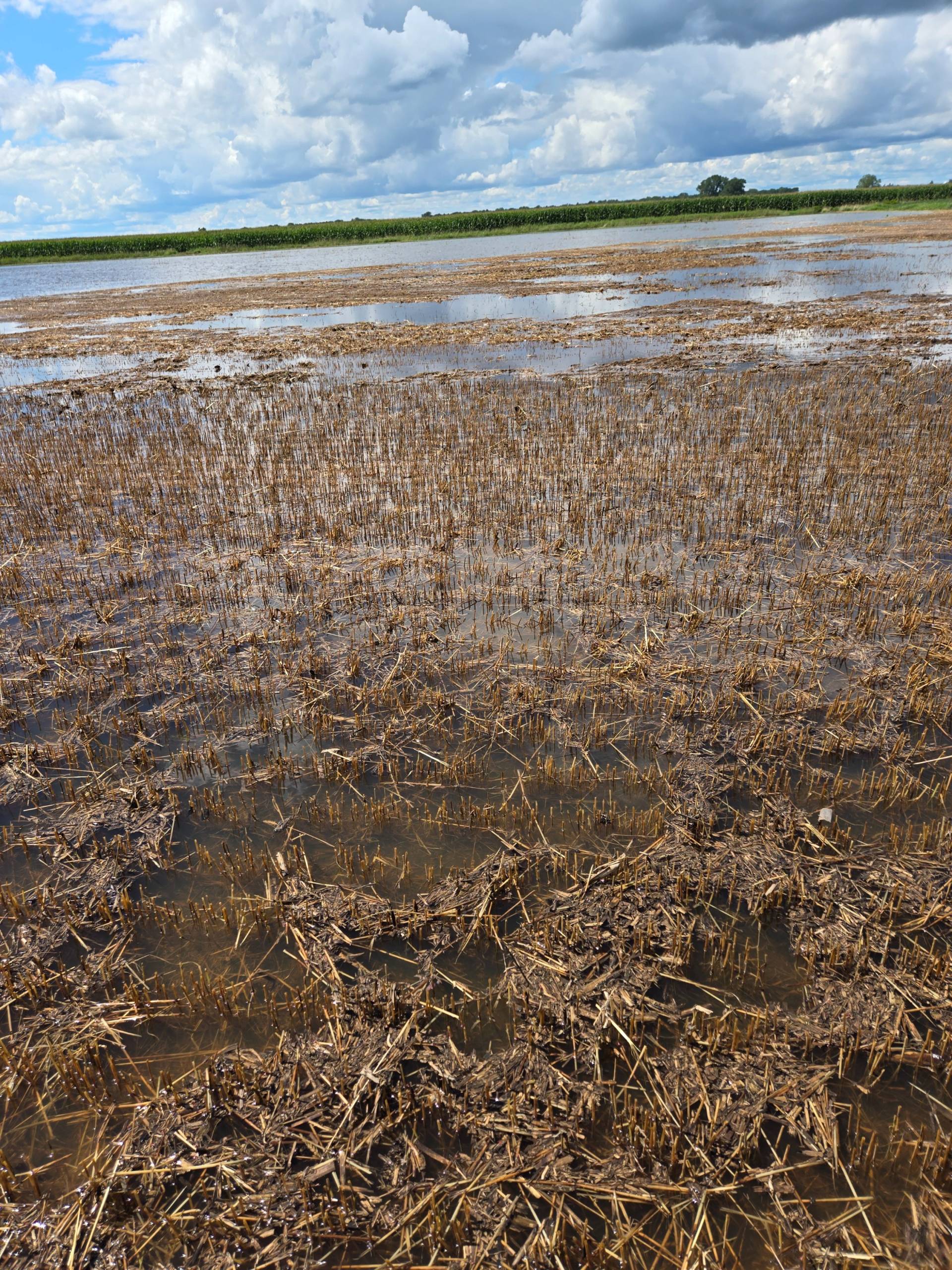 Comment faire des économies à long terme