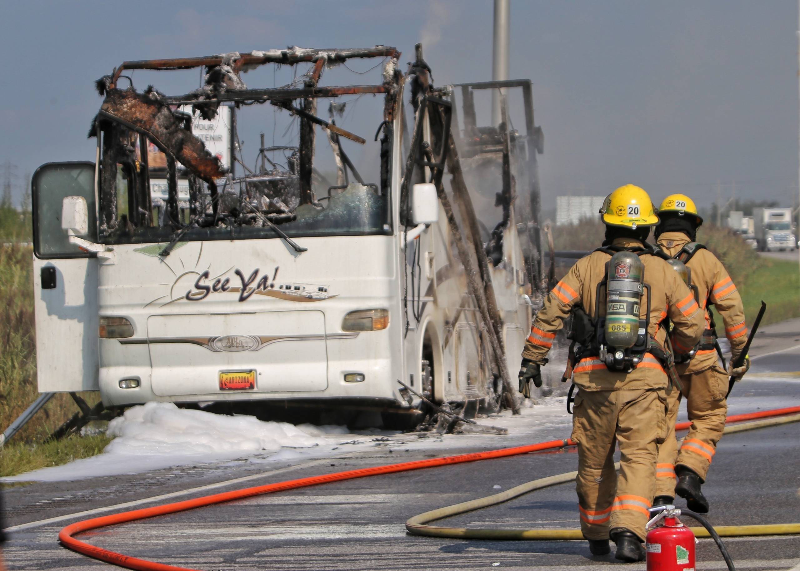Le virus Chihuahua n’a rien d’inoffensif!