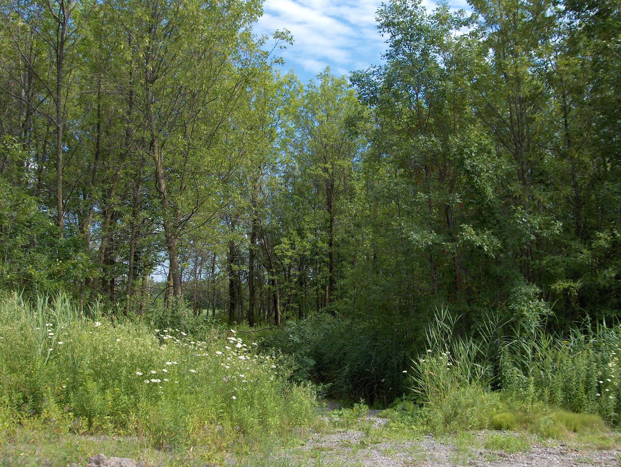 Où placer les aliments dans le four