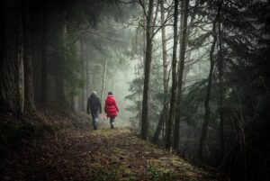 La nature en tête : promouvoir les bienfaits de la nature sur la santé mentale
