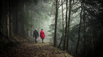 La nature en tête : promouvoir les bienfaits de la nature sur la santé mentale