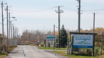 Vers des rejets moins nauséabonds de Stella-Jones