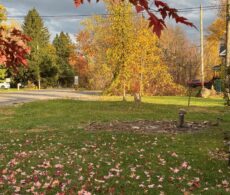 Rue Johanne à La Prairie : des résidents en ont ras le bol de manquer d’eau