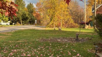 Rue Johanne à La Prairie : des résidents en ont ras le bol de manquer d’eau