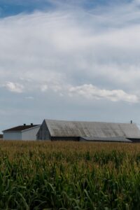 Communauté métropolitaine de Montréal : une voix pour les municipalités en milieu rural