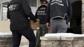 Stupéfiants : plus de 600 000 comprimés saisis à Châteauguay et Sainte-Catherine