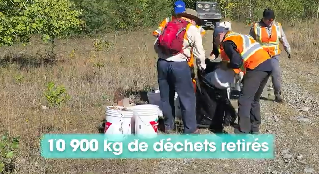 Une vidéo pour sensibiliser aux habitats de la rainette faux-grillon