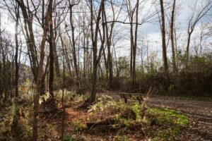 La Prairie : deux sites de conservation reconnus par la CMM 