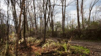 La Prairie : deux sites de conservation reconnus par la CMM 