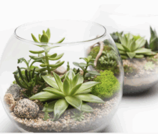 Quoi faire ce week-end sur la Rive-Sud?