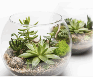 Quoi faire ce week-end sur la Rive-Sud?