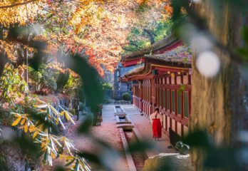 Découvrir le Japon : entre l&rsquo;effervescence des métropoles et les secrets de l&rsquo;île de Kyushu