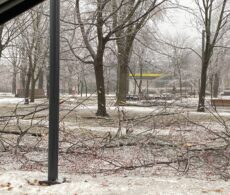 Situation «potentiellement critique» de pluie verglaçante attendue