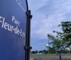 Sainte-Catherine : De nouveaux abris seront installés au parc Fleur-de-Lys
