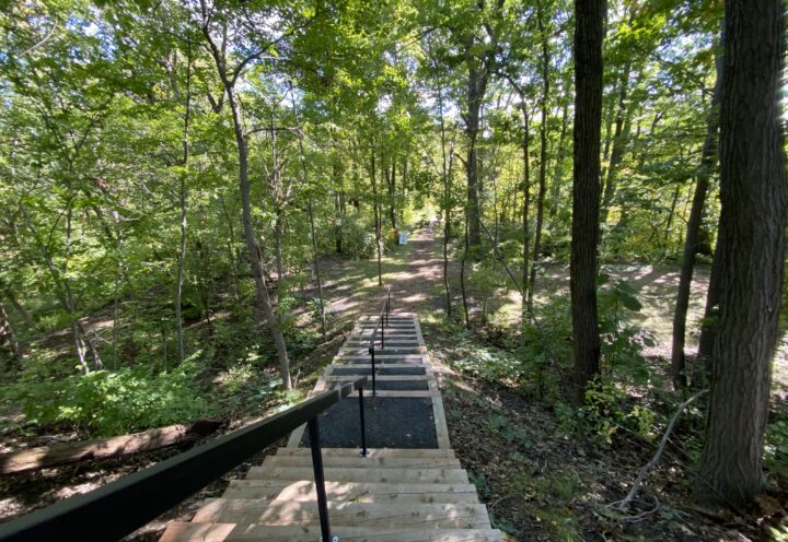Une escouade pour protéger le parc du Centenaire