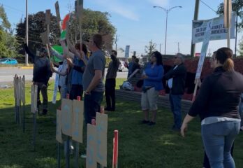 Sainte-Catherine : mobilisation pour sauver un boisé